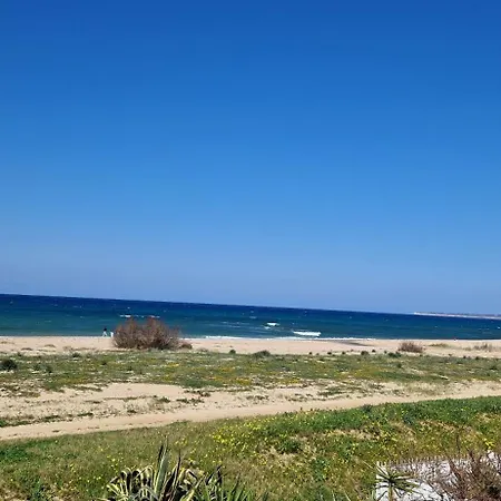 Arancina Abbronzata Balestrate